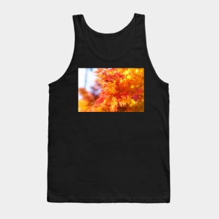 Unique nature photography Autumn Maple leaves in Japan Tank Top